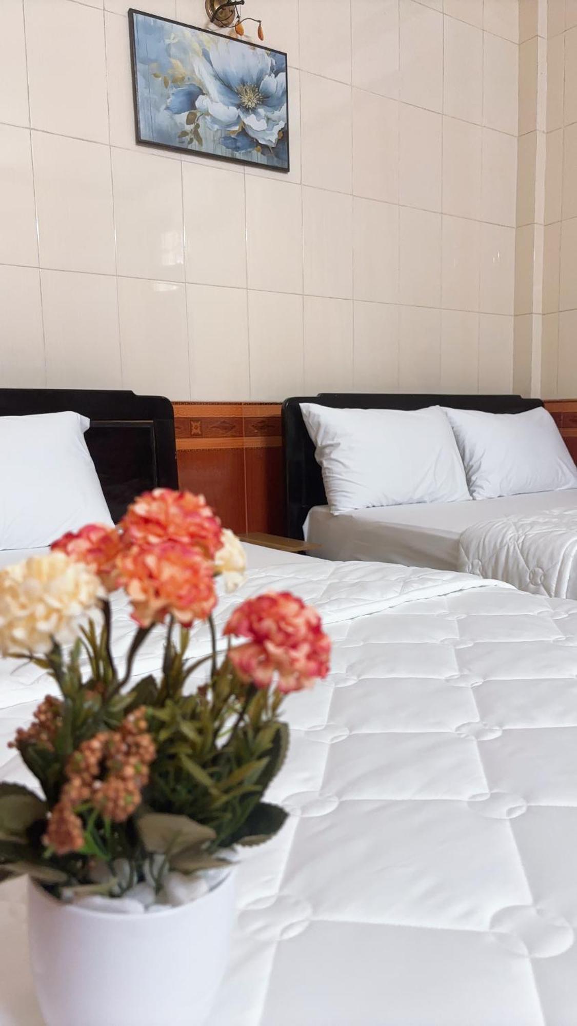 Hong Ha Guest House هوي المظهر الخارجي الصورة